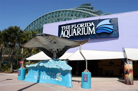 #Florida #Aquarium- #Tampa Florida Explore and learn about marine life ...