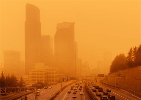 Air Pollution In Cities