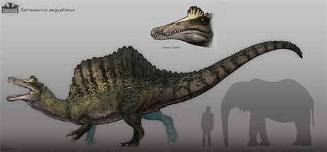 ArtStation - Spinosaurus Concept Design