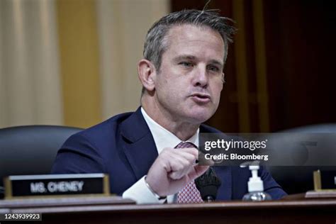 197 Republican Party Adam Kinzinger Stock Photos, High-Res Pictures ...