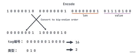 Protobuf Guide - SoByte