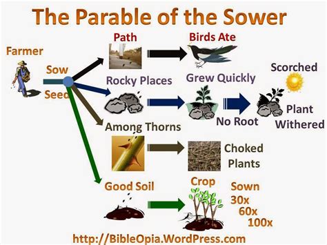 Learning-Living [learning-living.com]: JESUS CHRIST - PARABLE OF THE SOWER