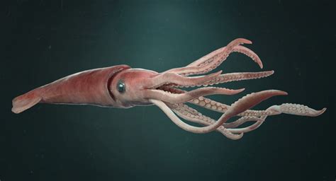 Jo-Anne's Ramblings: Indestructible Creatures/ Giant Squid