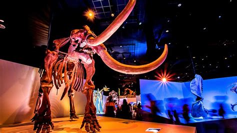 14 Top Museums in Houston | PlanetWare