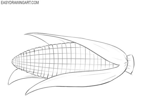 How to Draw a Corn Cob - Easy Drawing Art