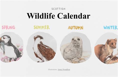 Scottish Wildlife Calendar | VisitScotland