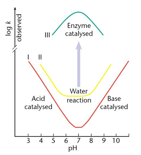 Acid-base Catalysis - Creative Enzymes