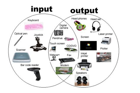 Input /Output Devices Diagram Quizlet, 46% OFF