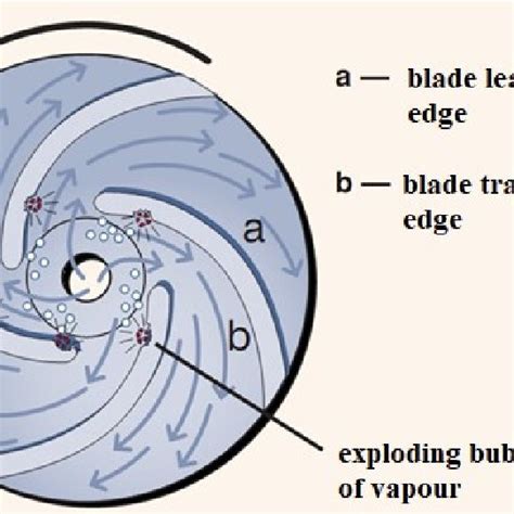 The cavitation in the pump. | Download Scientific Diagram