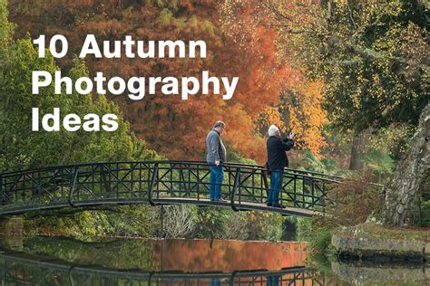 10 Autumn Photography Ideas | Park Cameras