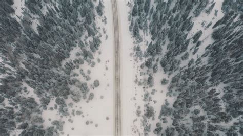 Aerial Shot Of Forest During Winter Free Stock Video Footage, Royalty ...