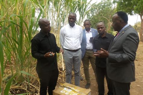 Ugandan Ambassador visits SUA, commends the JUNCAO grass technology ...