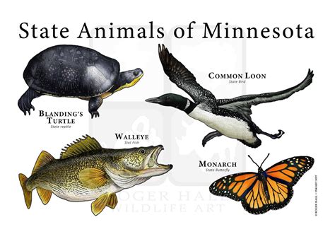 Minnesota State Animals Poster Print | Etsy