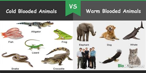 June 2020 – Bio Differences