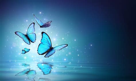 Blue Butterfly Meaning: What Do Blue Butterflies Symbolize? | Color ...