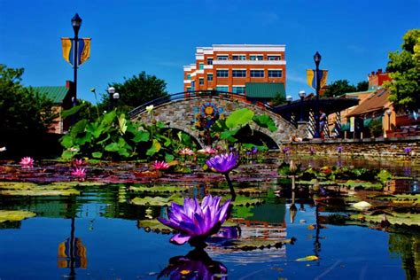 Discover Antiquing Bliss on the Great American Main Street of Frederick ...