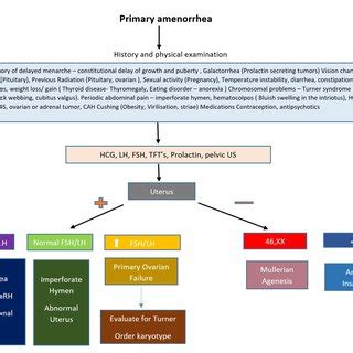 Approach to a patient with amenorrhea and differential diagnosis to... | Download Scientific Diagram