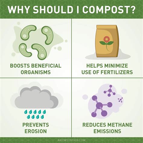 Composting 101: Definition, What to Compost & How to Start DIY Composting Guide for Beginners