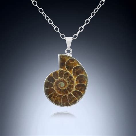 Ammonite Fossil Shell Jewelry