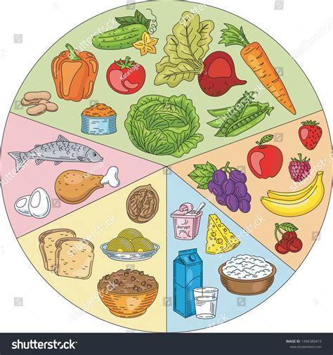 Healthy Food Plate Set Healthy Food Stock Vector (Royalty Free) 1496389415 | Shutterstock