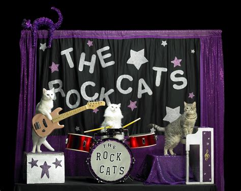 See the world's only cat band at the Famous Cat Circus | Blogs