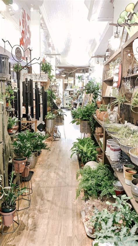 plant shop in franklin tn | Franklin tennessee, Tennessee, Franklin