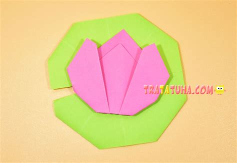 Origami Lotus Flower — the Easiest Way for Kids