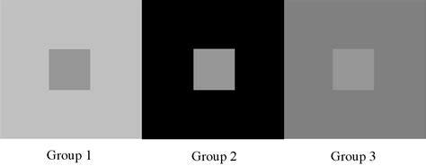 Jessica M Choplin Perceptual Comparisons Contrast Effects Ebbinghaus Illusion