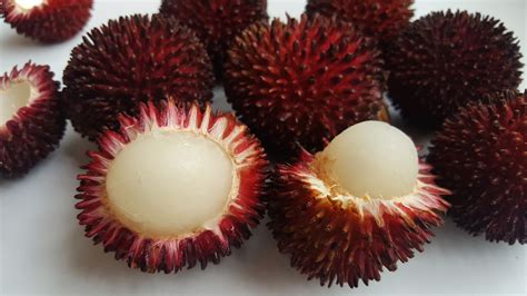 Pulasan | Local Tropical Fruit From Singapore, Southeast Asia