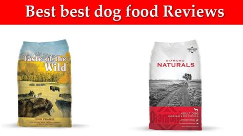 Best dog food Reviews - YouTube