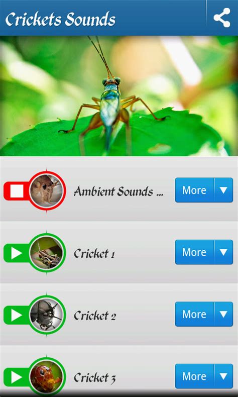 Cricket sounds Android App - Free APK by Aleksandar Milosevic