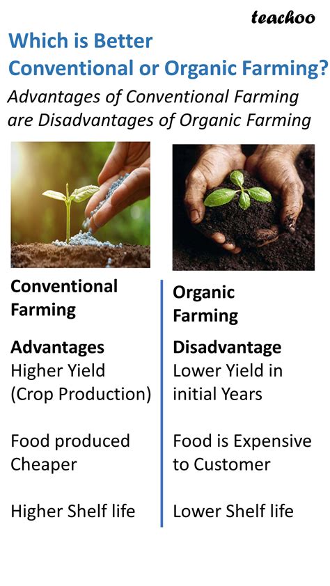 [Class 12] What is Organic Farming? - Economic Teachoo - Chapter 6 IED