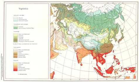 Vegetation Map Of Asia | Real Map