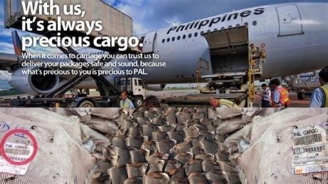 Petition · END PHILIPPINE AIRLINES’ CARGO OF SHAME! Urge Philippine ...