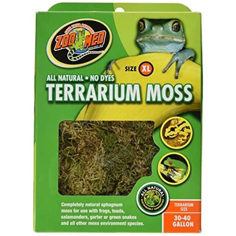 Best Substrate for Crested Gecko: Top Substrate Mix 2021 - Timeline Pets