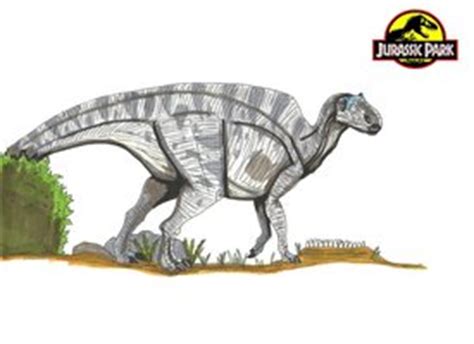 Maiasaura - Park Pedia - Jurassic Park, Dinosaurs, Stephen Spielberg