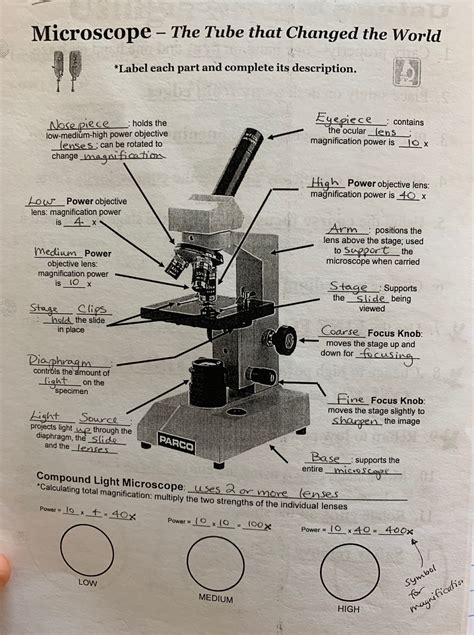 Microscope Parts And Functions Worksheets