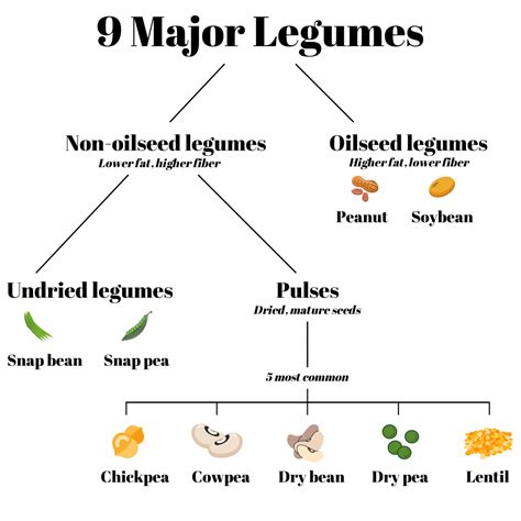 Differentiating Among Types of Legumes - A Legume a Day