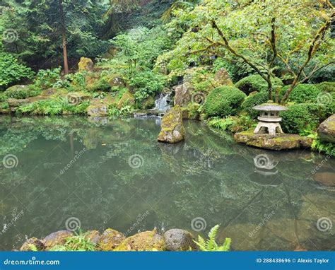 Beautiful Pond at Japanese Garden Stock Photo - Image of leaf, tree: 288438696