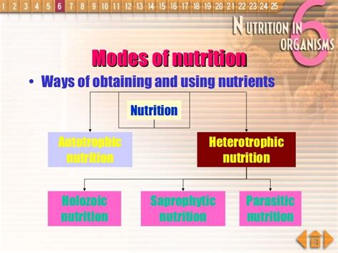 NUTRITION IN PLANTS - TYPES , AUTOTROPHS AND HETEROTROPHS - CURIOUS FACTS