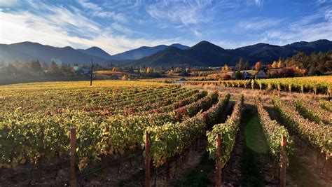 A Guide to Southern Oregon Wine | SevenFifty Daily