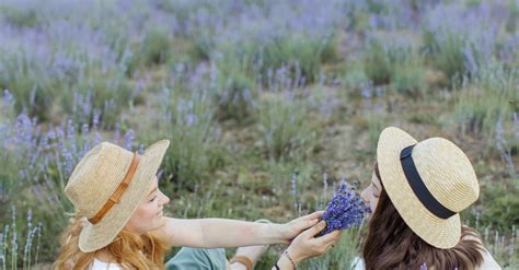 Women Picking Flowers in the Field · Free Stock Photo