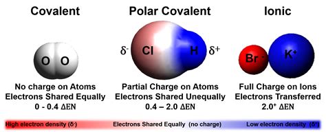 Polar Covalent Bond Electronegativity