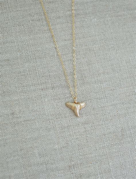 Gold Shark Tooth Necklace — Authentic Luxury Fossil Jewelry | Foxy Fossils