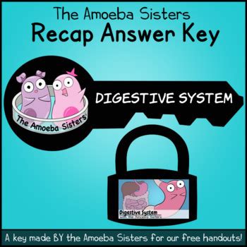 Digestive System Recap ANSWER KEY by the Amoeba Sisters (ANSWER KEY)