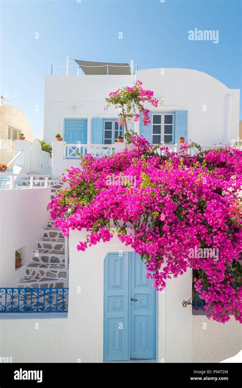 Santorini bougainvillea hi-res stock photography and images - Alamy