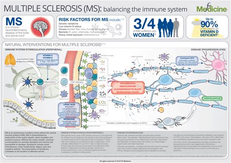 INFOGRAPHIC: Multiple Sclerosis: Balancing The Immune System | FX