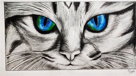 How to draw hyper realistic cat face in simple way - YouTube