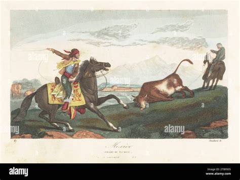 Spanish colonizers or Californianos hunting wild bulls with lasso in Alta California. From an ...