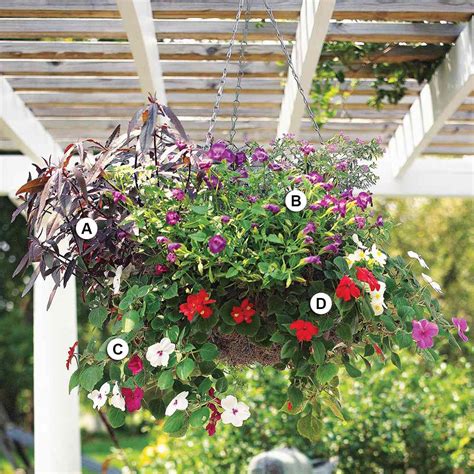 Create Stunning Hanging Baskets | Better Homes & Gardens